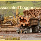 Alabama Associated Loggers