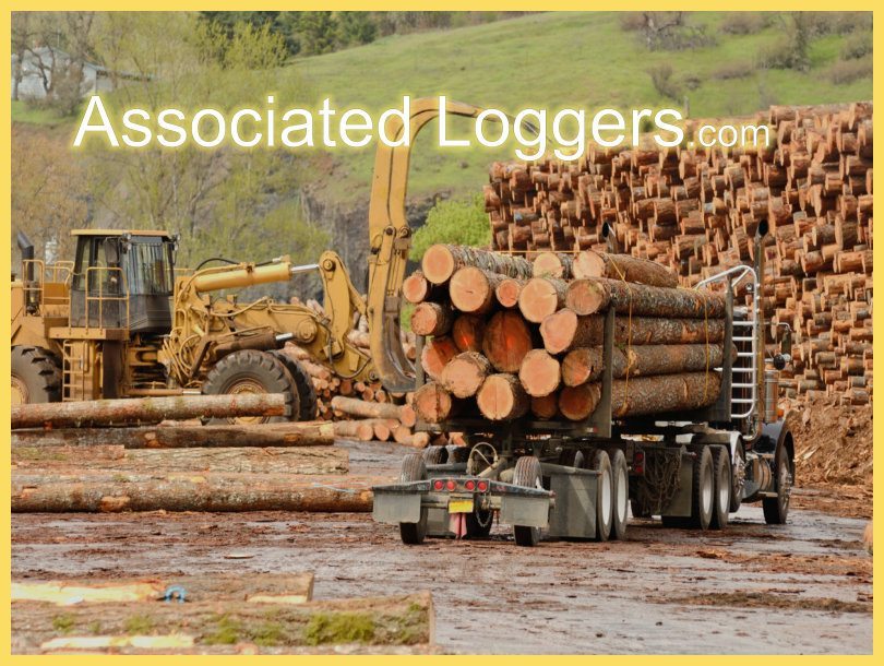associated-loggers-logging-trucks-loader-866x600