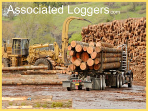 associated-loggers-logging-trucks-loader-866x600-1.jpg