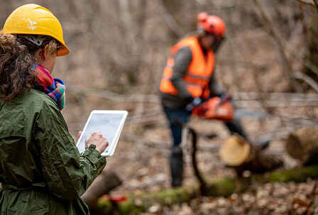 cropped-istockphoto-1298404528-170667a-1.jpeg | Associated Loggers