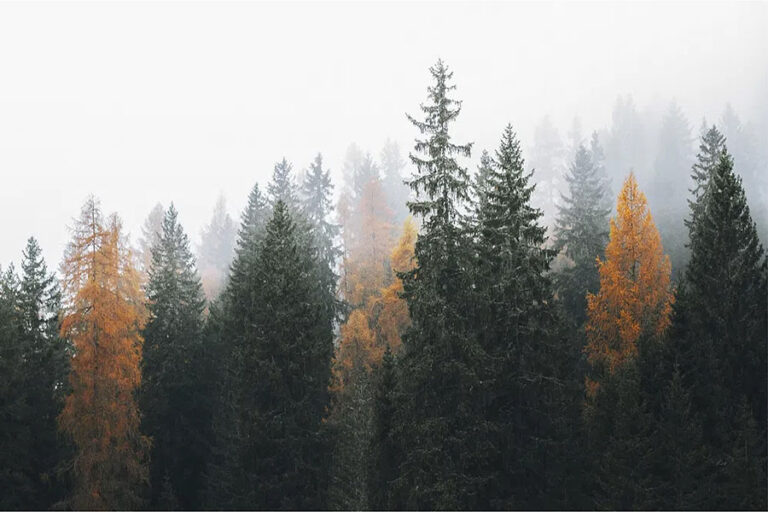 Nature desktop wallpaper background, autumn in a foggy Dolomites